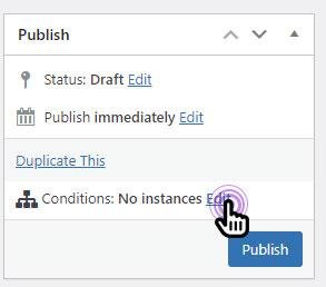 Custom Code publish options with conditions
